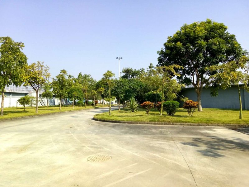 园林绿化工程：打造城市绿肺的艺术