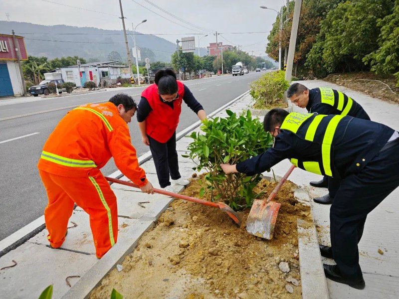 奏响春日"养护曲" 扮靓道路"风景线"_公路_绿化_进行
